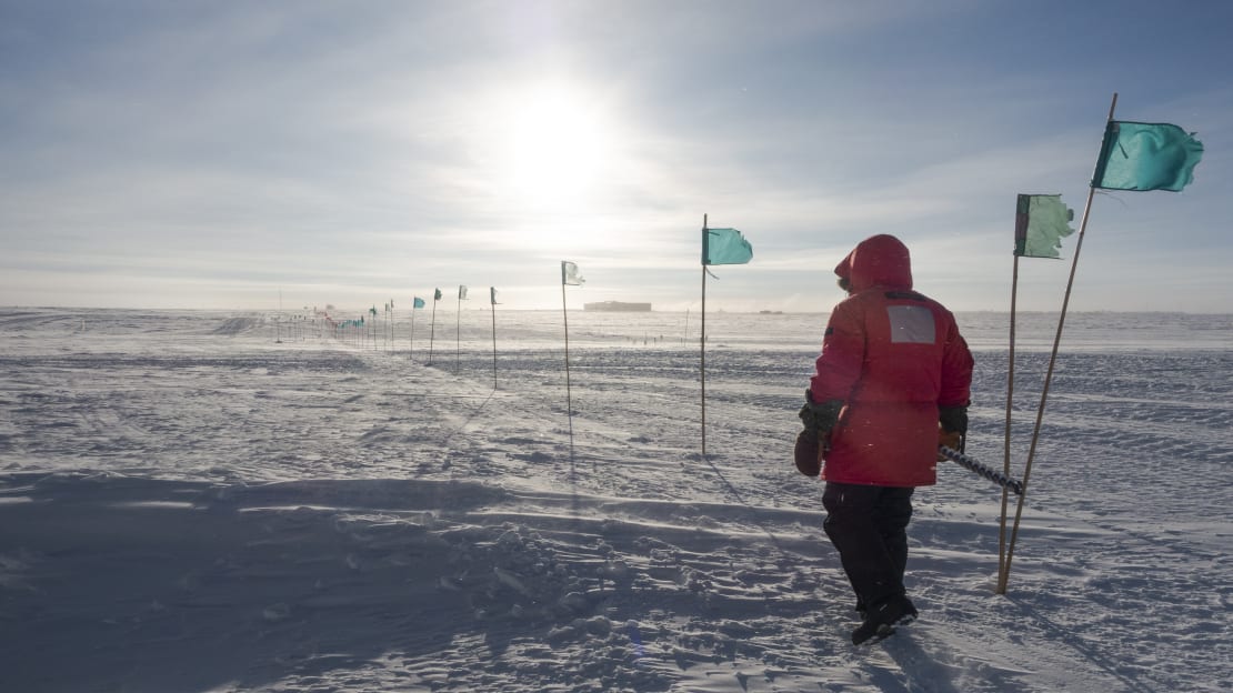 Person in red parka seen from behind as they walk along flag line to the South Pole station.