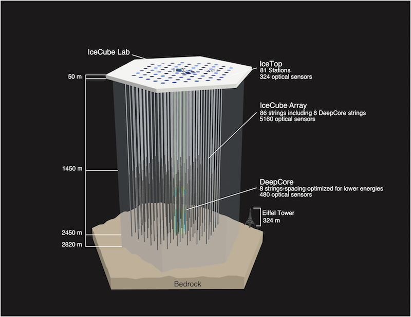 Schematic of IceCube