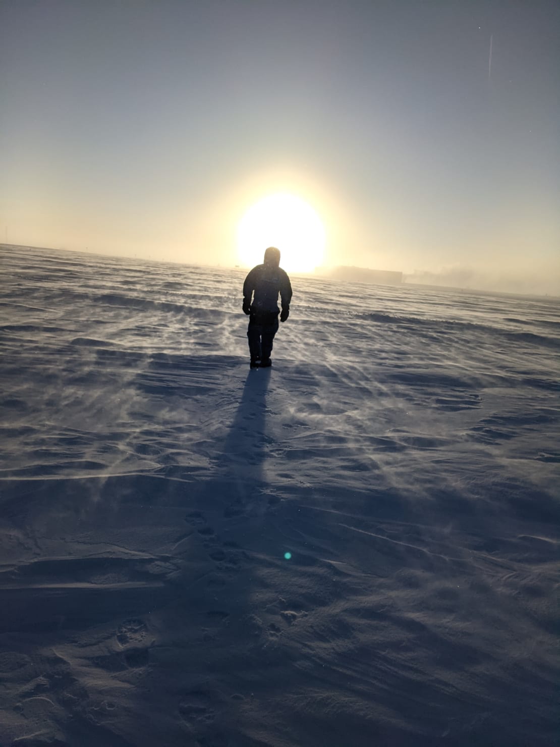 Silhouette of person walking toward a low sun on the horizon.